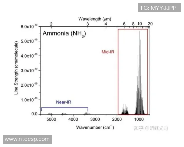 赛后分析：北京排球队与深圳排球队的表现与状态对比探讨